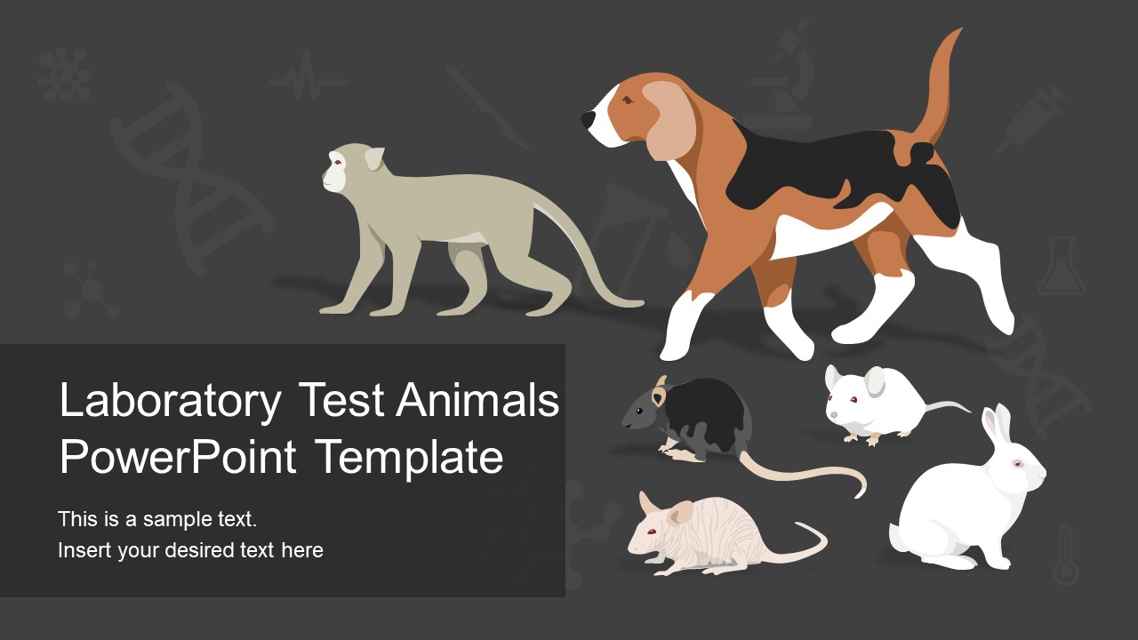 Test Subject Animals in PowerPoint