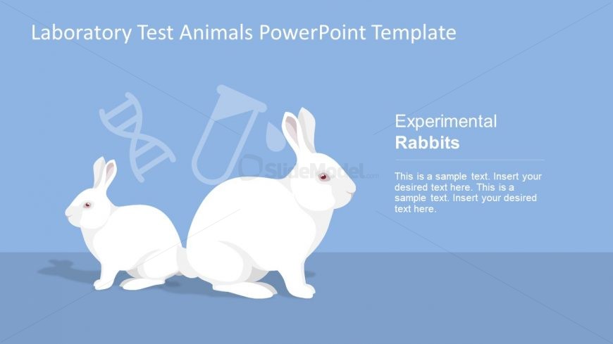 White Rabbit DNA Lab Test
