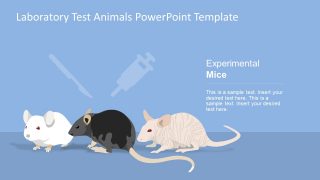 Inject and Dissect Mice for Mutation